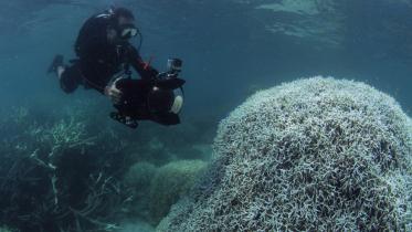 Barrier-Reef-1WB.jpg