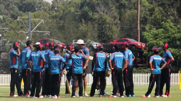 Tigers in training
