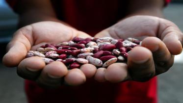 BEANS.jpg