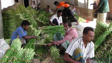 Benapole-flower-sale--picture.jpg