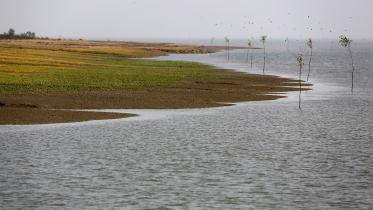 Bhasanchar-1.JPG