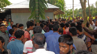 Birganj upazila.jpg
