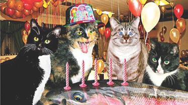 Birthday Surprises