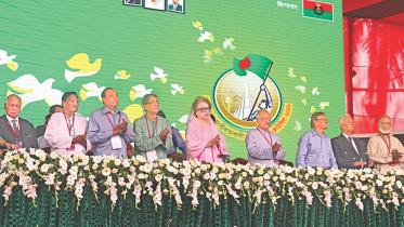 bnp council.jpg