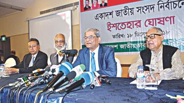 bnp manifesto.jpg