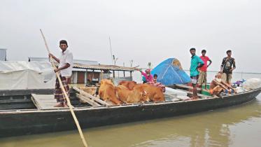 Boat.jpg