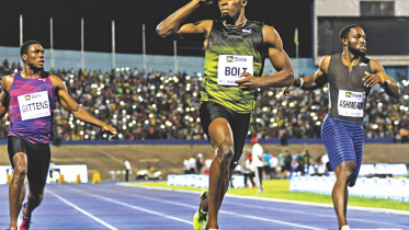 bolt.jpg