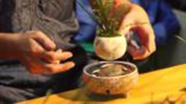 Bonsai.jpg