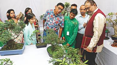 Bonsai.jpg