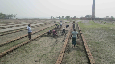 brick field.jpg