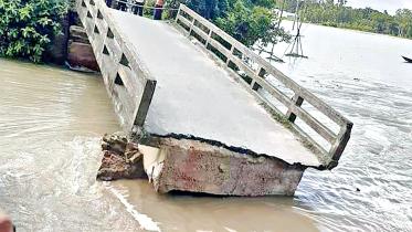bridge.jpg
