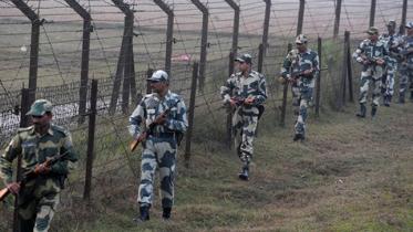 bsf-wb_1.jpg