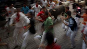bull-1.jpg-NS.jpg