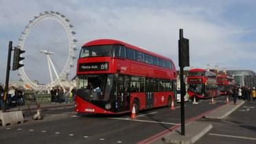 bus