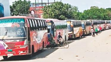 bus.jpg
