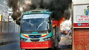 bus_38.jpg