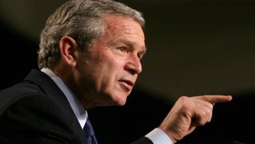 Bush.jpg