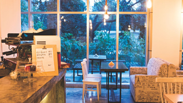 Busy at Busy Beans