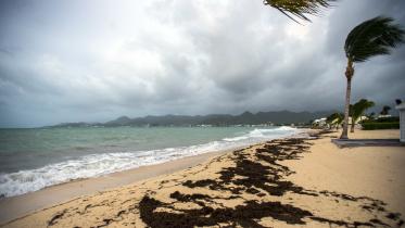 Baie Nettle beach