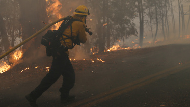 California.jpg