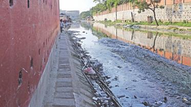 Canals 1.jpg