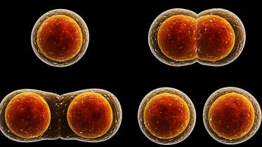 cancer-cell-1-web.jpg