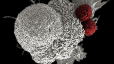 Source tax on cancer drug ingredients cut