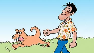 cartoon-web.jpg