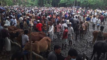 cattle-market-Covid-19-safe-distance.jpg