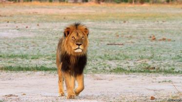 cecil-WEB.jpg