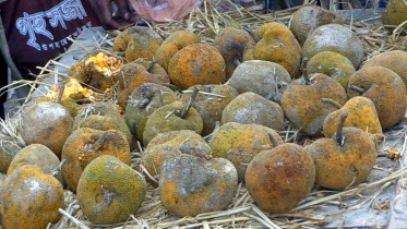 chambol.jpg