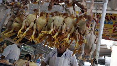 Chicken-wb.jpg