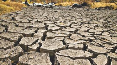 climate.jpg