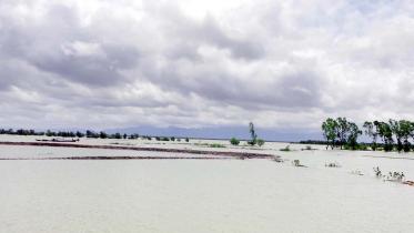 coastal area.jpg