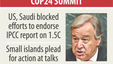 COP 24 SUMMIT.jpg