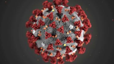 corona virus.jpg