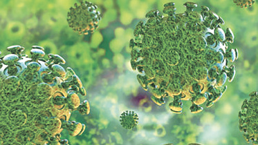 corona virus.jpg