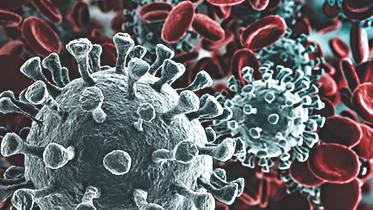 corona virus.jpg