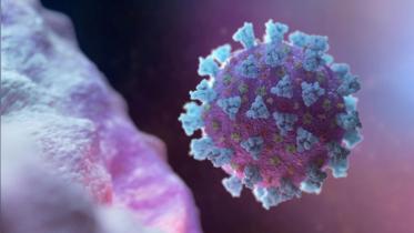 coronavirus covid 19
