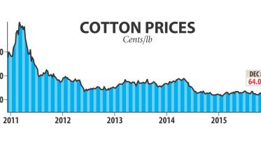 Cotton use.jpg
