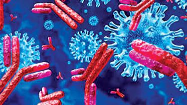 covid-virus.jpg