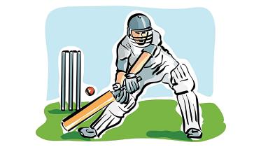 cricket-care.jpg