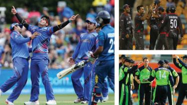 Cricket