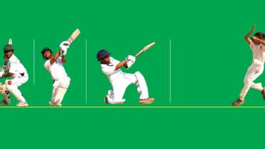 cricket0.jpg