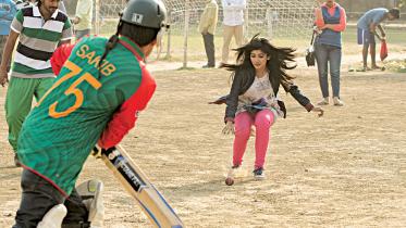 cricket.jpg