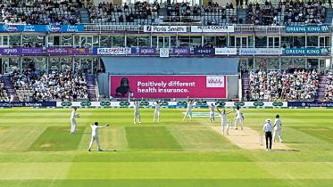 cricket.jpg