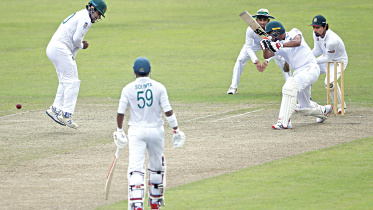 cricket.jpg