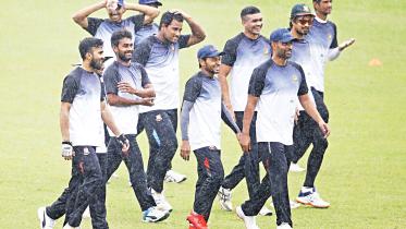 cricket.jpg