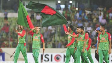 cricket_5.jpg