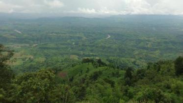 Ctg-hill-tracts.jpg